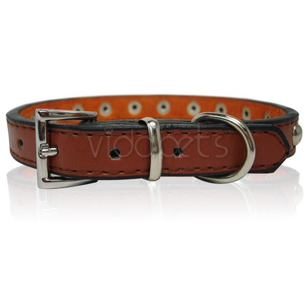14 17 Brown Leather Studded Dog Collar Medium