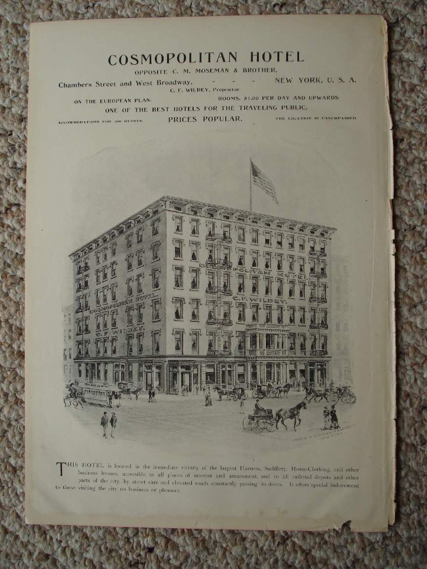 Antique Horse Equestrian Print New York City Hotel