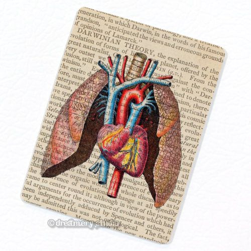 Heart & Lungs Deco Magnet; Vintage Anatomy Medical Illustration