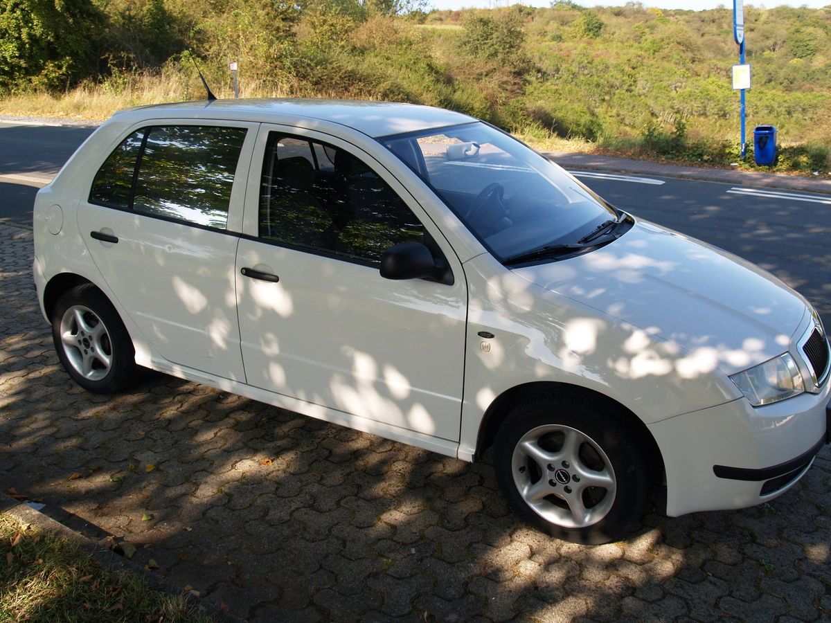 Skoda Fabia 1,9 SDI EZ 2001 TÜV bis 09.2014