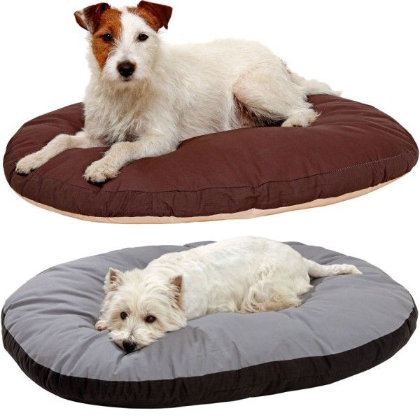 Liegekissen Doc Bed Oval Hunde Schlafplatz Liegekissen Hundekissen