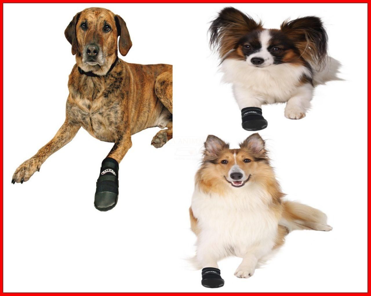 Neopren Hundeschuhe Schutzstiefel Hunde gr. XXL Walker Care