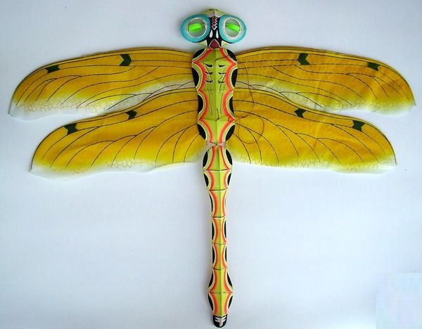 This Dragonfly kite is far from extinct, with its large wingspan this