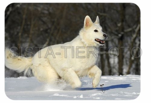 MOUSEPAD, MAUSPAD WEIßER SCHWEIZER SCHÄFERHUND 571