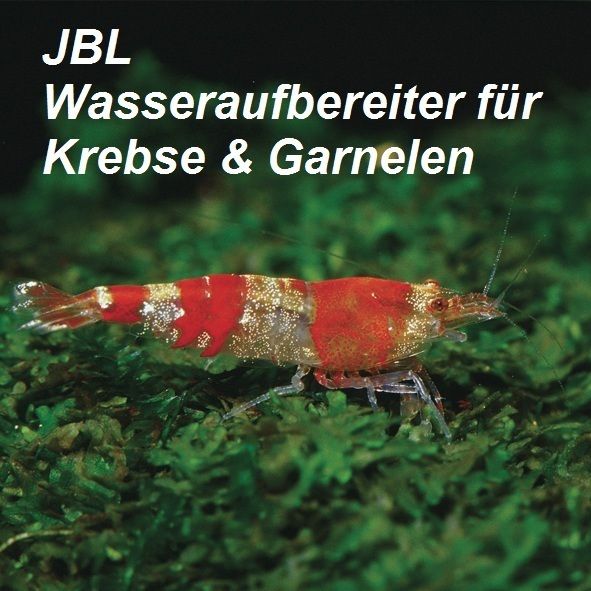 JBL Biotopol C Wasseraufbereiter für Krebse & Garnelen 100 ml (100ml