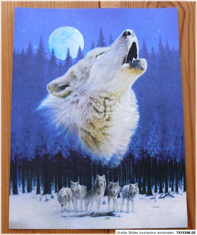 Indianer Alu Bild WOLF + MOND,Wölfe,Country,Western,Cowboy,Deko, 16 x